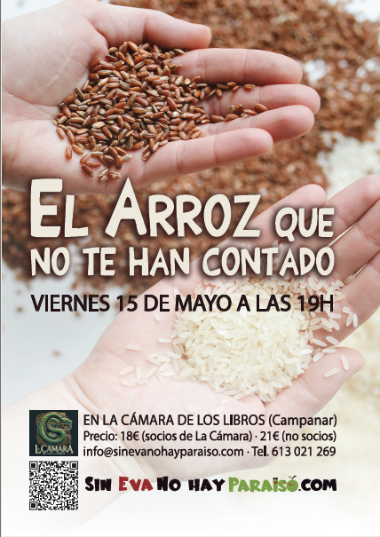 taller-arroz-eva